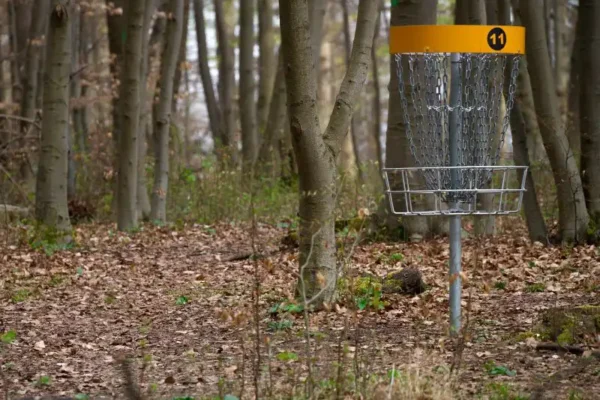 discgolf_heel nederland_bedrijfsuitje