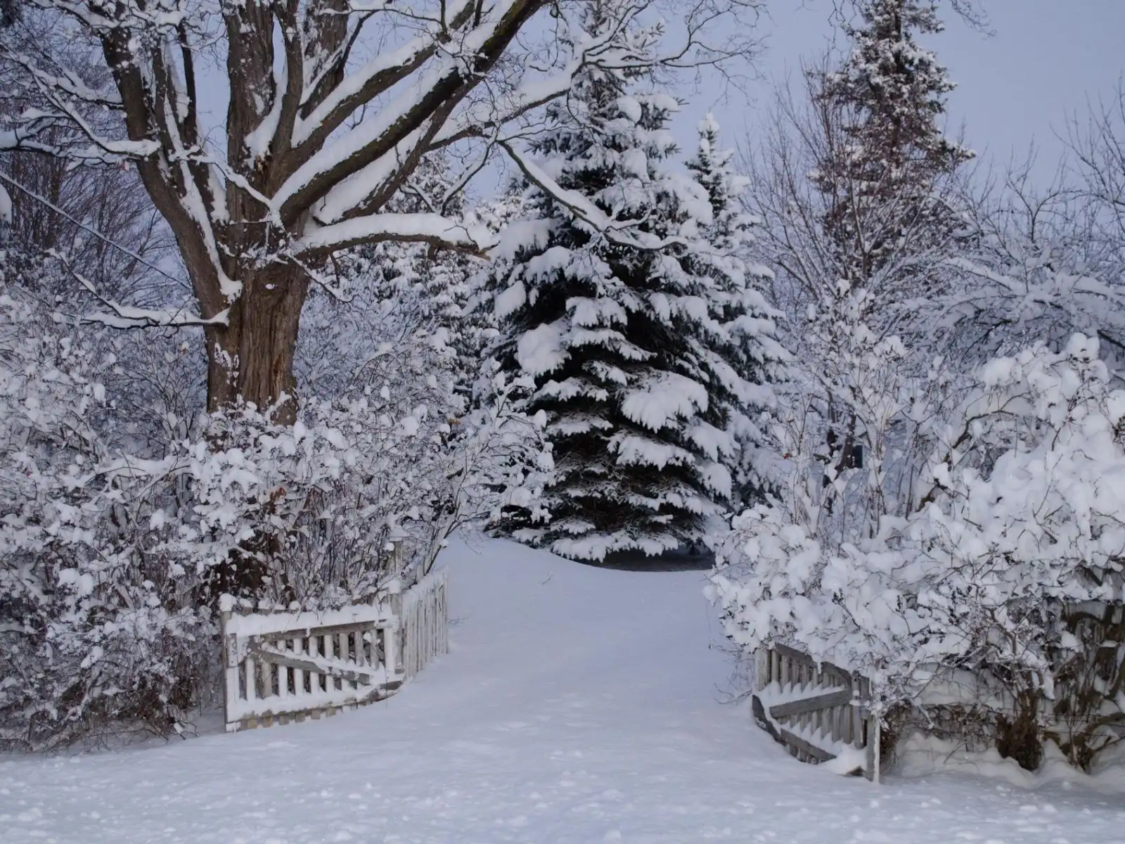 themafeest-winter-wonderland-slider-3