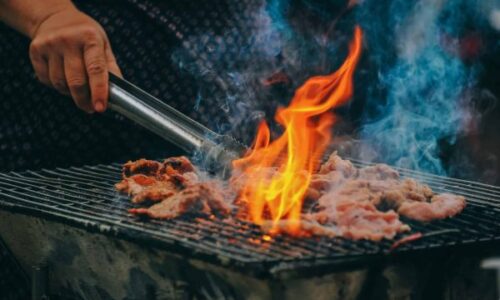 BBQ Boot – Breda