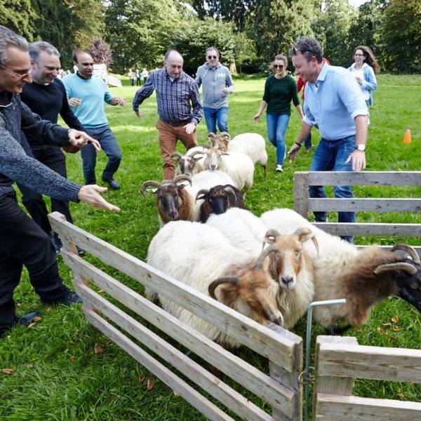 Workshops met dieren